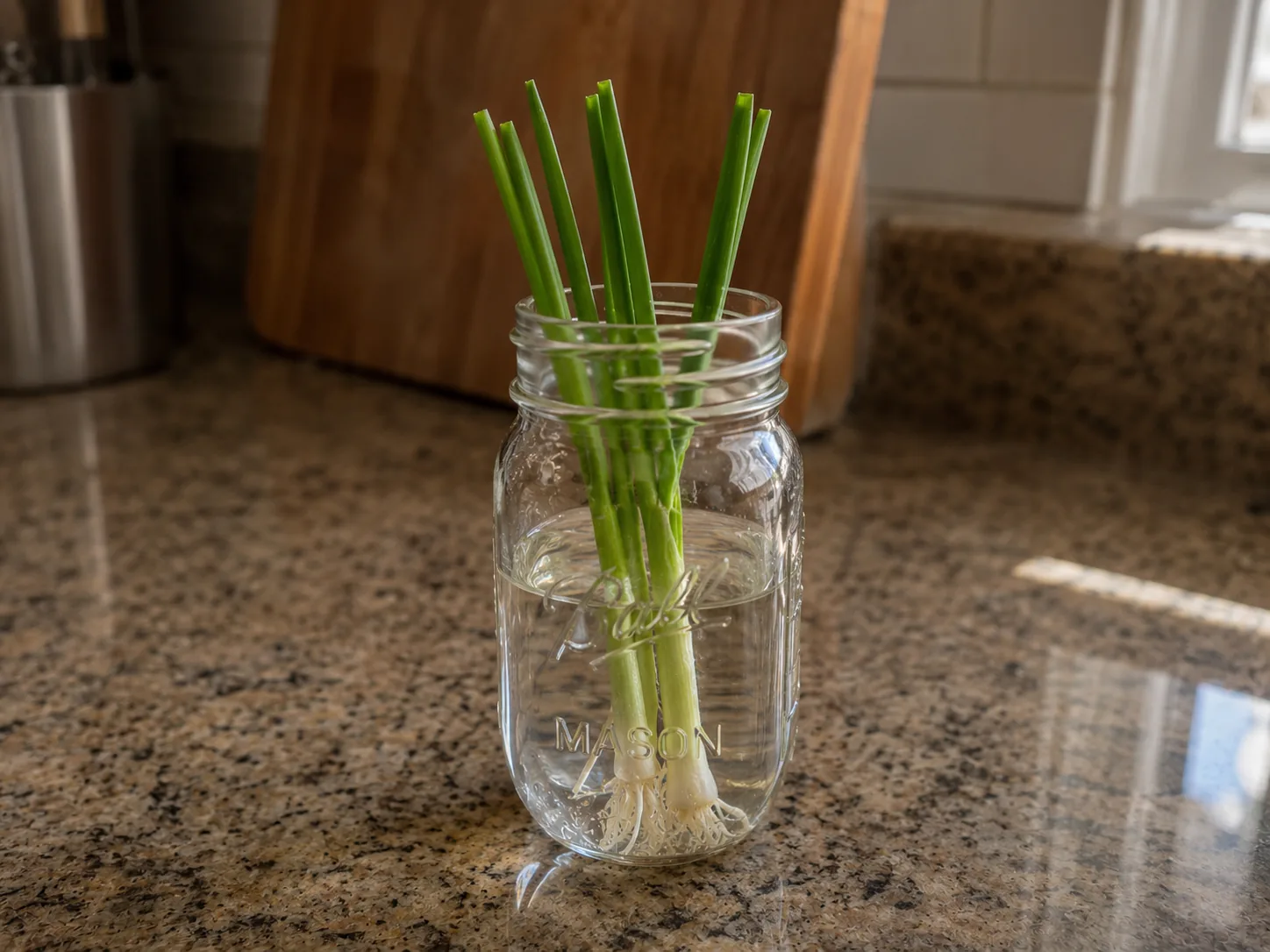 Green onions regrowing in a Mason jar on a kitchen counter, white bulb base visible through glass with fresh green shoots emerging from the top